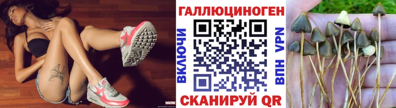Псилоцибиновые грибы GOLDEN TEACHER  купить наркотики сайты  ссылка на мегу зеркало  Северская 