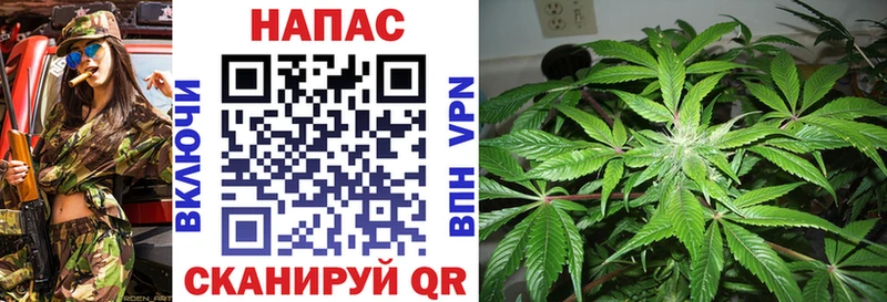 OMG ТОР  Северская  Бошки Шишки VHQ 